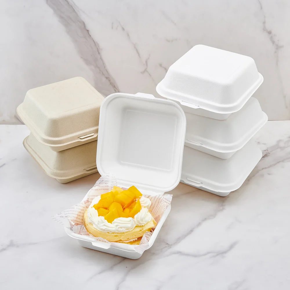 8 Inch Square Korean Lunch Box (Bento Box) for Cakes | Baking Material | Pack of 10 PCS